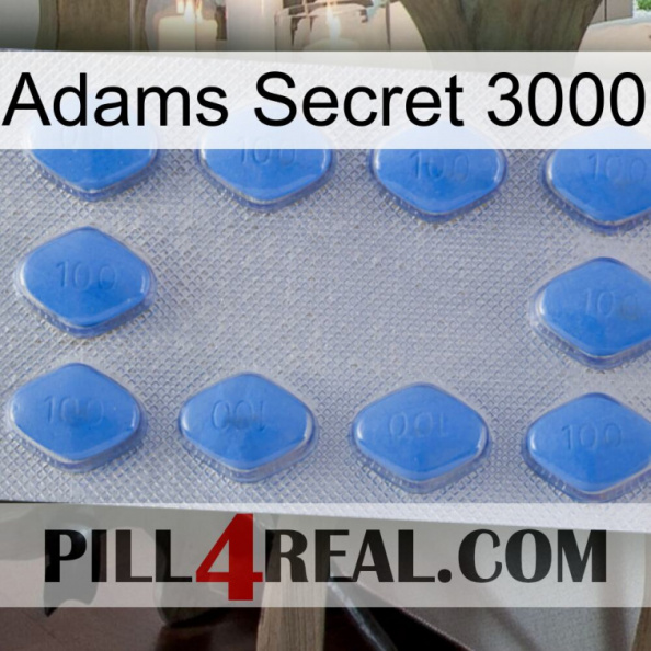 Adams Secret 3000 21.jpg